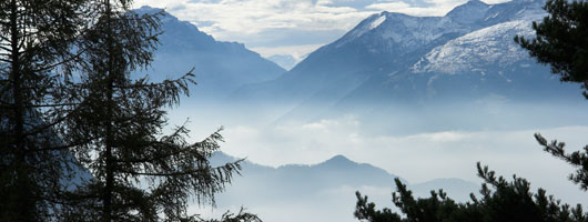 客户管理工具的ddos攻击ip软件下载